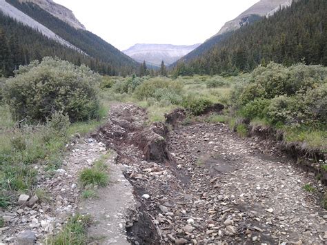 Bighorn - Alberta Wilderness Association