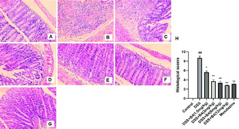 Effects Of Anemoside B B On Histopathological Changes Of Colonic