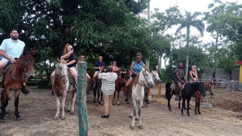 Punta Cana Avontuur Van 3 Uur Met ATV En Paardrijden GetYourGuide