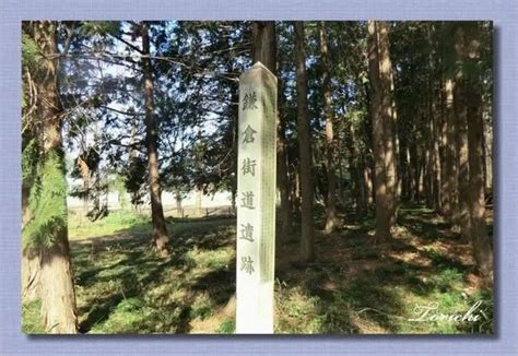 鎌倉街道 上道跡 －毛呂山町 1－（埼玉県毛呂山町） 四季・めぐりめぐりて