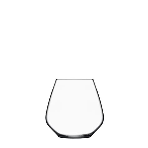 Luigi Bormioli Atelier Pinot Noir Stemless Wine Glass And Reviews Wayfair