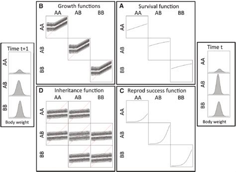 A To D Graphical Representation Of The Ipm That Maps The Bivariate