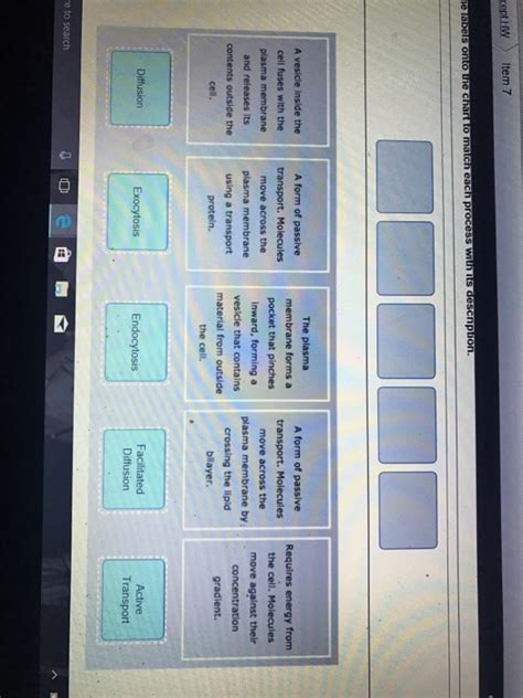 Solved Cept Hw Item A Form Of Passive Transport Molecules Chegg