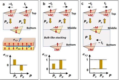 A Top Schematic Of A Polar Stacked Mnbi2te4 Bilayer With