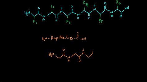 Drawing Peptides Youtube