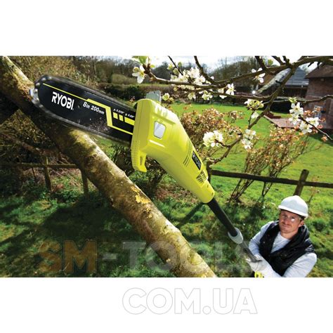 Высоторез Ryobi RPP750S заказать в Киеве, купить Высоторезы - цена с ...