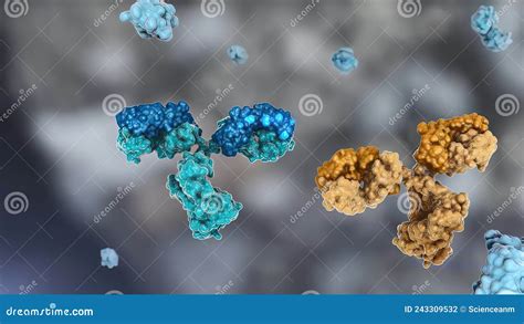 The Structure Of A Typical Antibody Moleculeantibodies And Amino Acids