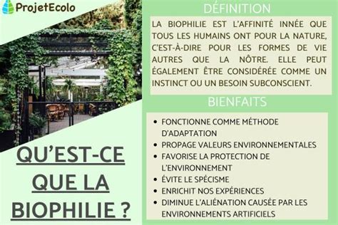 Biophilie D Finition Et Bienfaits