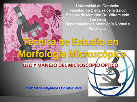 SOLUTION Microscopio Y Tecnicas Histol Gicas Studypool