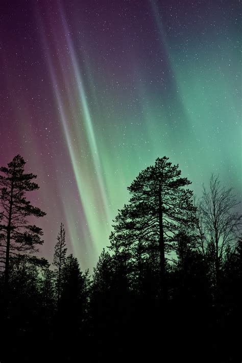 images silhouette sky atmosphere northern light aurora