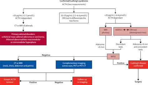 Cushings Syndrome The Lancet