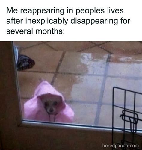 “introvert Memes” 50 Of The Funniest Jokes That Sum Up Life As An