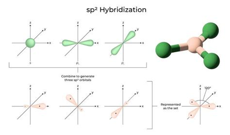 Hybridization Definition Types Rules Examples Geeksforgeeks