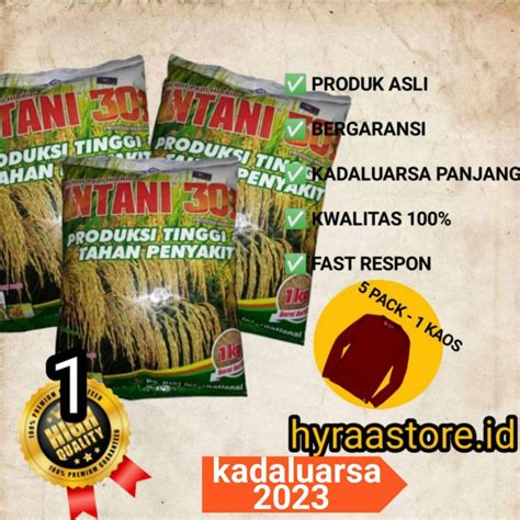 Jual Benih Padi Hibrida F Intani Sekelas Mapan P Suppadi