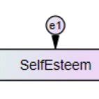 Path Model Depicting Direct And Indirect Relationships Between