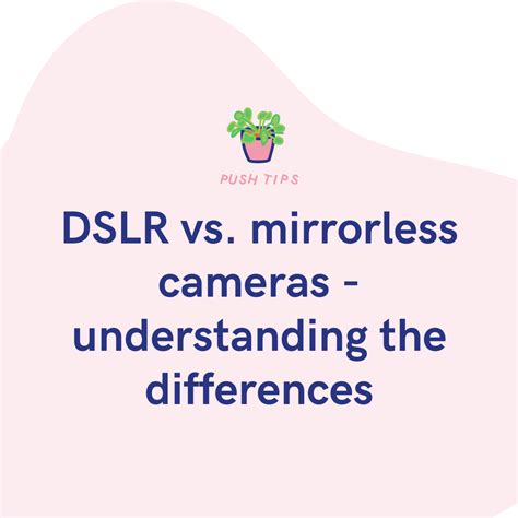 Dslr Vs Mirrorless Cameras Understanding The Differences Pushfm