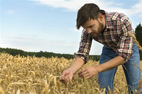 Irish Agriculture Faces A Difficult Future Unless More Young People