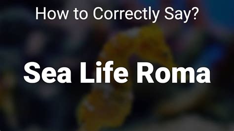 How To Correctly Pronounce Sea Life Roma Rome Italy Youtube