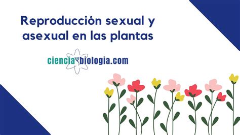 Reproducción Asexual Y Sexual En Las Plantas Youtube