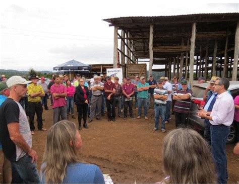 Rs Presidente Da Emater Rs Participa De Dia De Campo Em S O Marcos