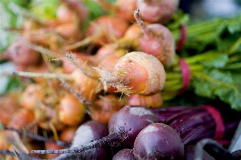 How To Grow And Care For Beets