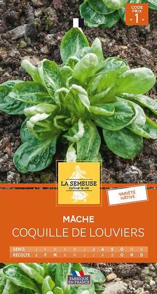 Mache Coquille De Louviers Bricomarch