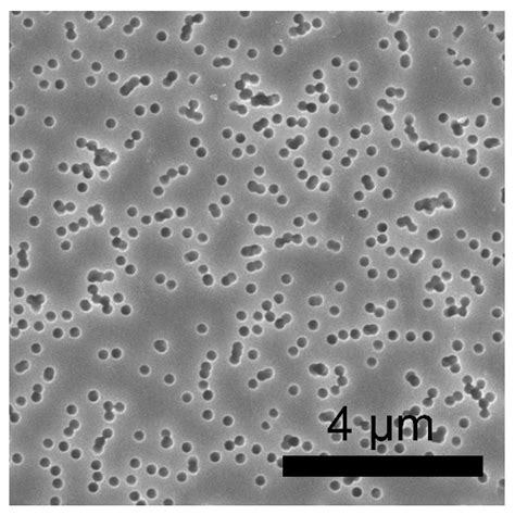 Chemengineering Free Full Text Effect Of A Tetraethoxysilane