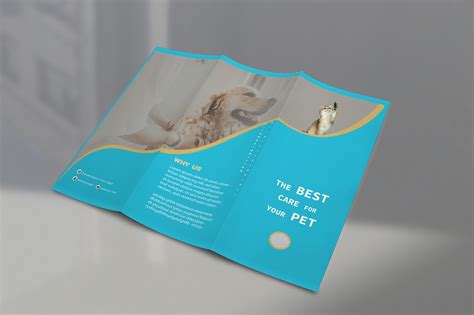 brochure design project on Behance