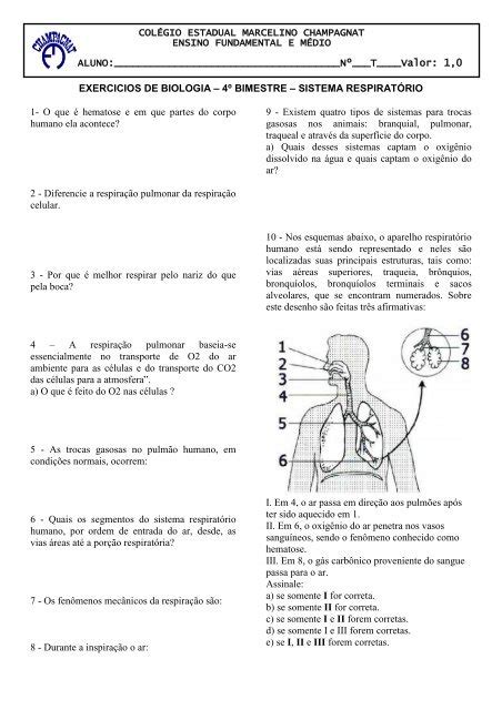 Exercicios Sistema Respiratório Colégio Estadual Marcelino