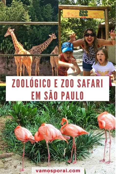 Como é O Zoológico De São Paulo