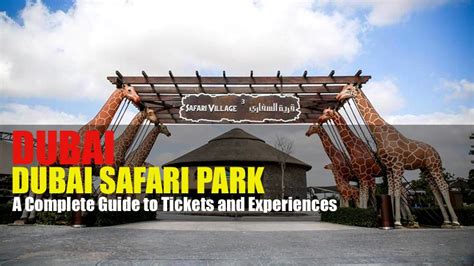 Dubai Safari Park A Complete Guide To Tickets And Experiences