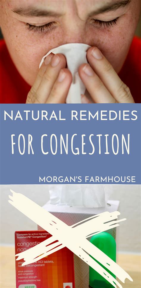 Natural Remedies for Congestion - Morgan's Farmhouse