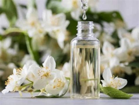 Natural Jasminum Grandiflorum Jasmine Essential Oil For Fragrance