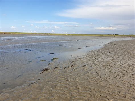 Schutzstation Wattenmeer Nationalpark Haus Schutzstation