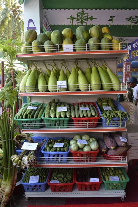 World Food Day Celebrates in Dhaka, Bangladesh Editorial Photo - Image