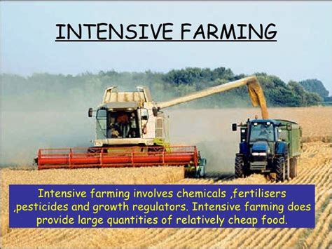 Intensive Farming