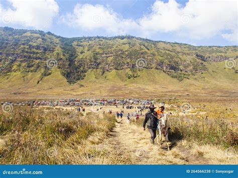 The Beauty Of Teletubbies Hill A Vast Savanna Landscape One Of The