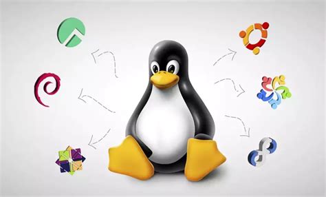 Infographic: Top 10 Linux Distributions - NeuronVM Blog