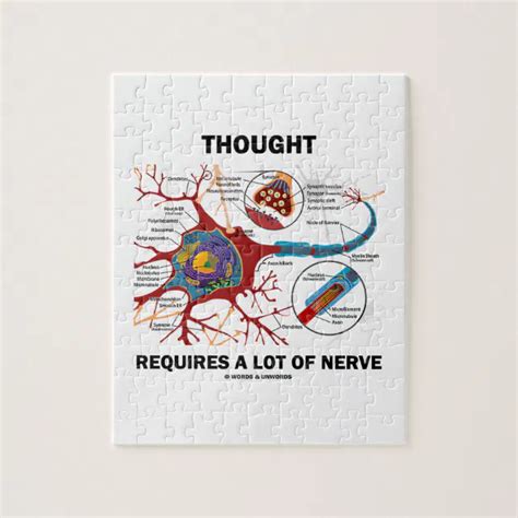 Thought Requires A Lot Of Nerve Neuron Synapse Jigsaw Puzzle Zazzle