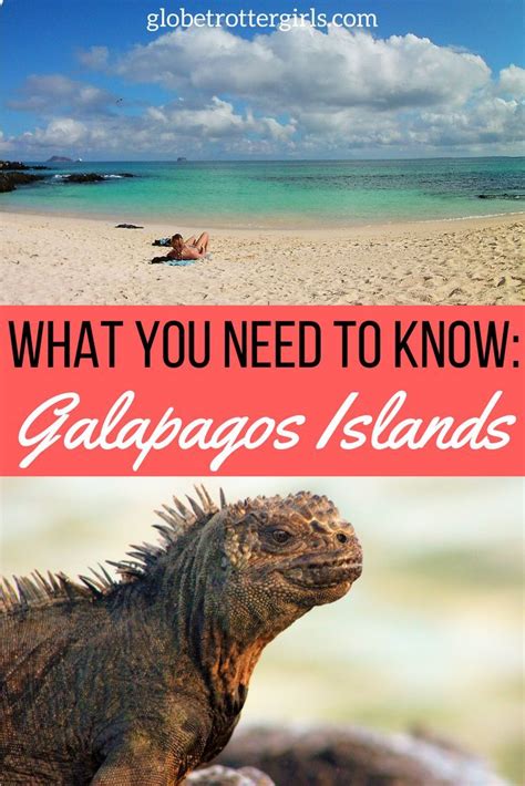 15 Things You Need To Know Before Going To The Galapagos Islands My