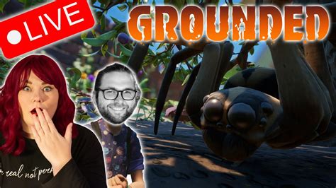 Spinne Wo Mach Sie Platt EinfachSeba Sofort GROUNDED LIVE