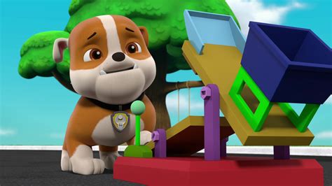 Mira PAW Patrol Patrulla De Cachorros Temporada 8 Episodio 5 PAW