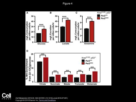 Circadian Rhythm Disruption Promotes Lung Tumorigenesis Ppt Download