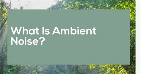 What Is Ambient Noise? | Ambient Noise