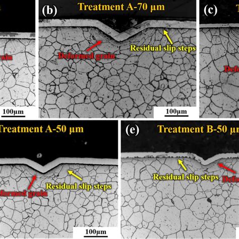 Cross Sectional Metallographic Microstructures Of Samples With