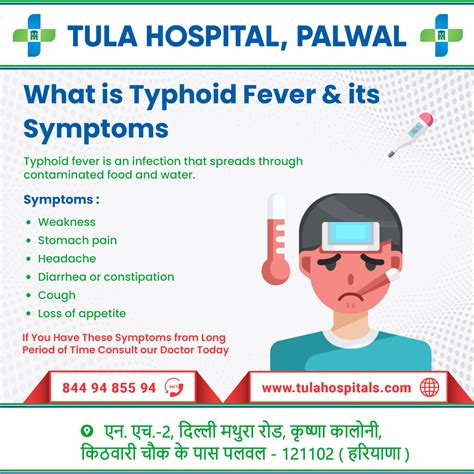 What is Typhoid Fever & its Symptoms - My Blog