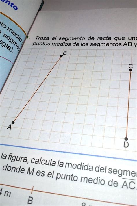 SOLVED: Traza el segmento de recta que une los puntos medios de los ...