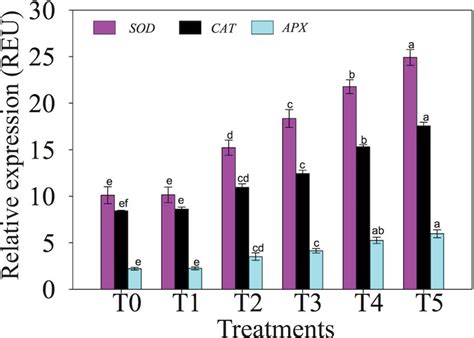 Frontiers Nitric Oxide Mitigates Salt Stress By Regulating Levels Of