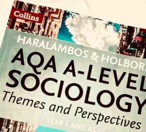 understanding primary socialisation  sociology