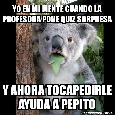 Meme Koala Yo En Mi Mente Cuando La Profesora Pone Quiz Sorpresa Y